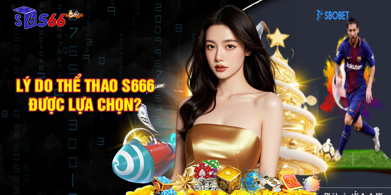 Lý do thể thao S666 được nhiều hội viên tin tưởng, lựa chọn?